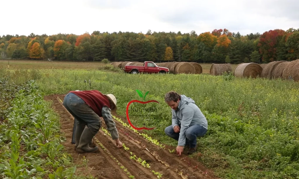 agricultura sostenible México