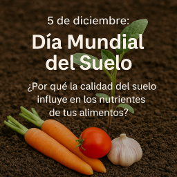Día Mundial del suelo: 5 de diciembre